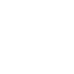 Meta (Facebook)